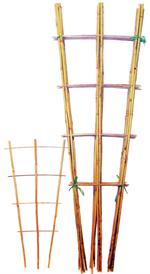 Bamboo Fans