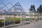 OBC Greenhouses