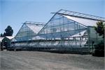 Conley's Greenhouses