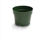 Azalea Pots